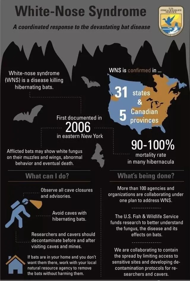 美国政府为什么要下令禁止研究蝙蝠？这是担心阴谋要暴露了吗？