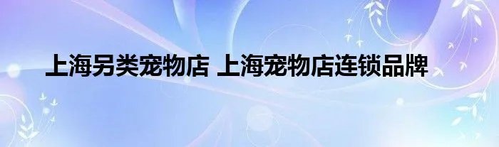 上海另类宠物店 上海宠物店连锁品牌