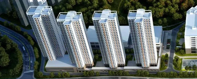 基底面积是什么意思