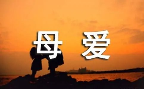 以母爱为题的作文