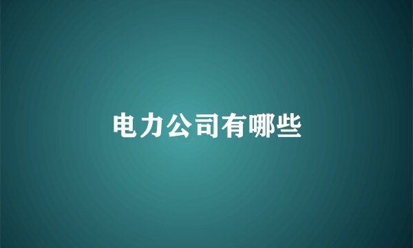 电力公司有哪些