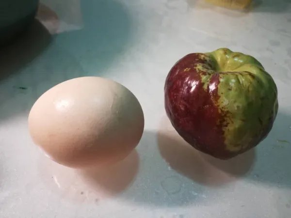 喀什的“土品种”有哪些？