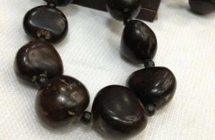 菩提子有哪些种类？菩提子种类大全图片介绍！