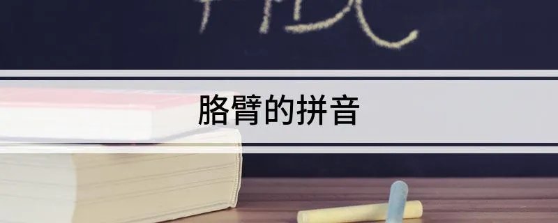 胳臂的拼音