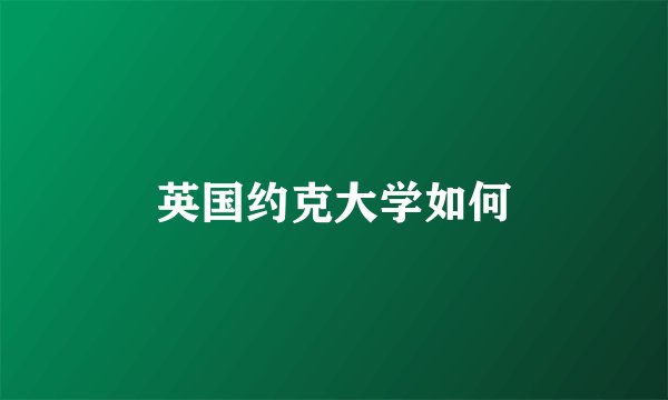 英国约克大学如何