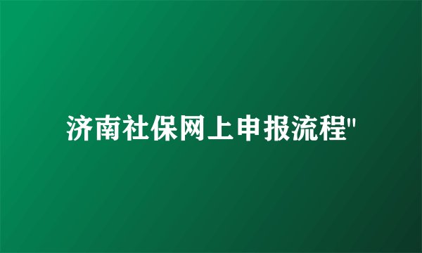 济南社保网上申报流程