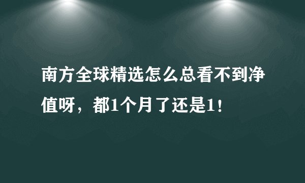 南方全球精选怎么总看不到净值呀，都1个月了还是1！