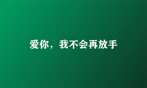 爱你，我不会再放手