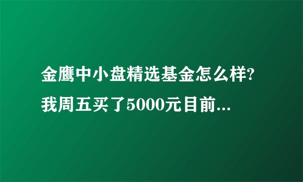 金鹰中小盘精选基金怎么样?我周五买了5000元目前形势是不是买的不是时机呀?