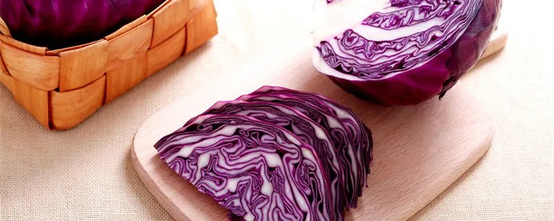 高丽菜是什么 高丽菜是什么蔬菜