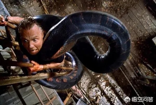 有哪些大蟒蛇类的特效电影值得推荐?