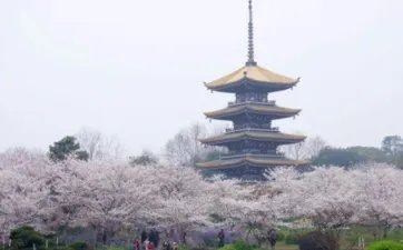 一天最灵验的上香时间，这个时间上香最好