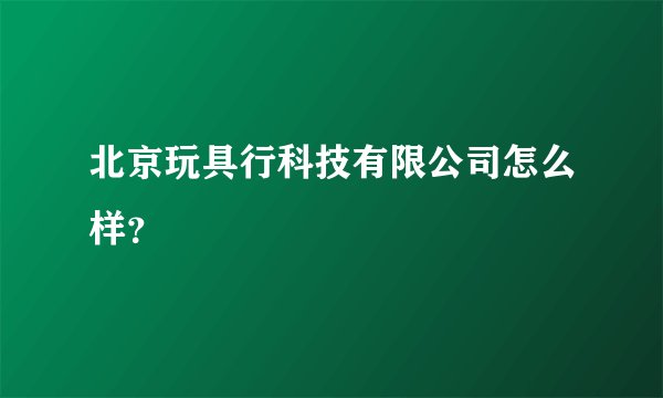 北京玩具行科技有限公司怎么样？