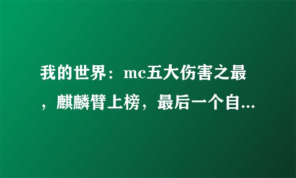 我的世界：mc五大伤害之最，麒麟臂上榜，最后一个自作自受！