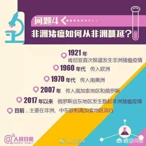 非洲猪瘟目前是什么情况？