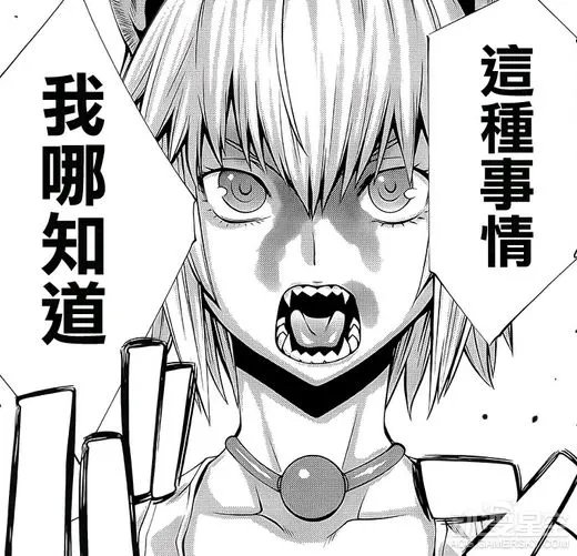 动漫星空晚报：《海贼王》漫画880话发布 《数码宝贝大冒险tri.》最终章宣传图曝光