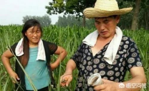 同为农村歌手,为何旭日阳刚只是昙花一现而朱之文却经久不衰?