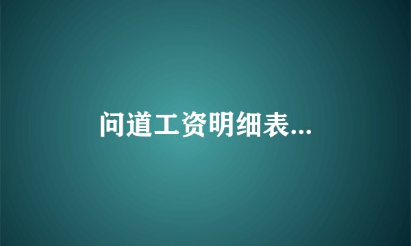 问道工资明细表...