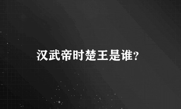 汉武帝时楚王是谁？