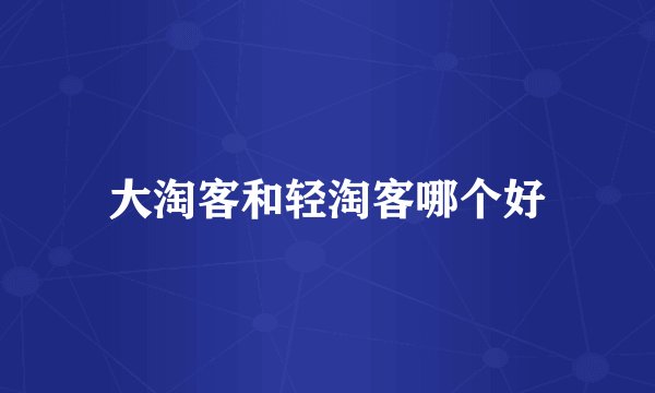 大淘客和轻淘客哪个好