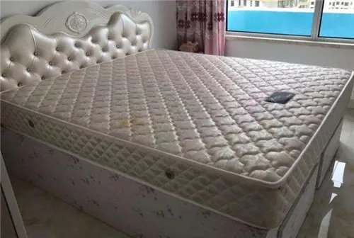 旧床垫有人回收吗