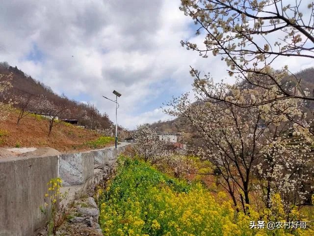 近期可以去老挝旅游吗？老挝疫情怎么样？