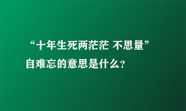 “十年生死两茫茫 不思量” 自难忘的意思是什么？