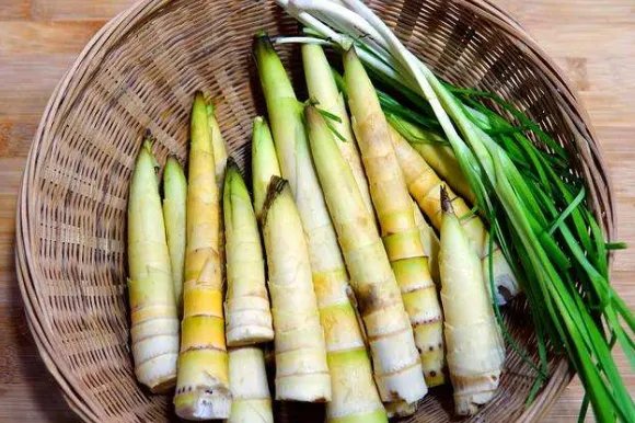 今年什么时候立春