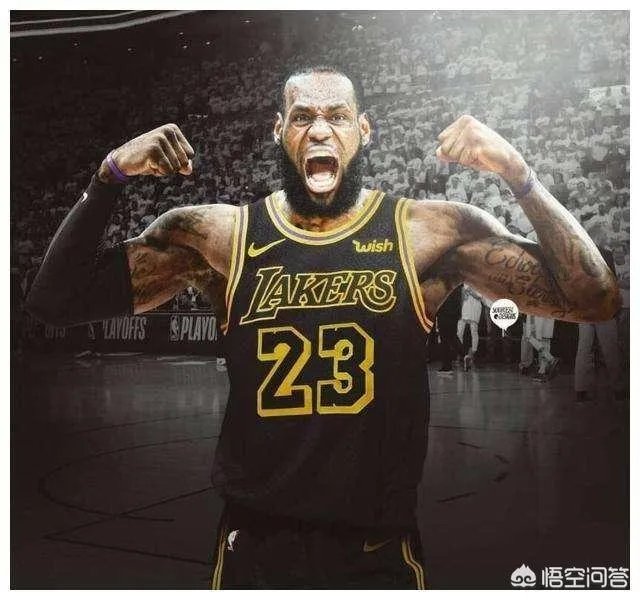 湖人生涯首次缺阵的詹姆斯在家看起了韦德和猛龙队的比赛直播，对此你怎么看？