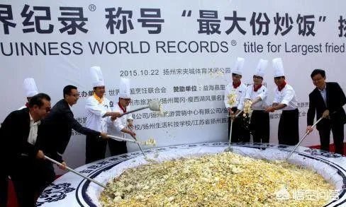 获得吉尼斯记录的大陆明星有哪些?