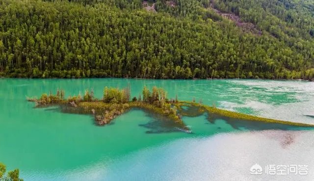 喀纳斯的风景如何?