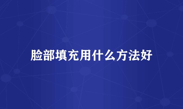 脸部填充用什么方法好