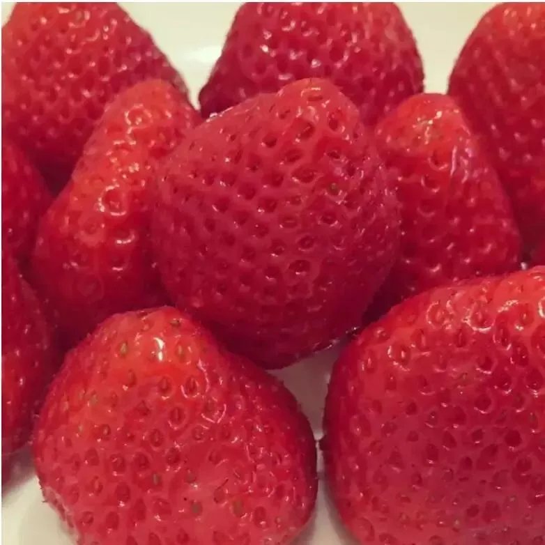 这组图可以测试 你是不是真的有密集恐惧症