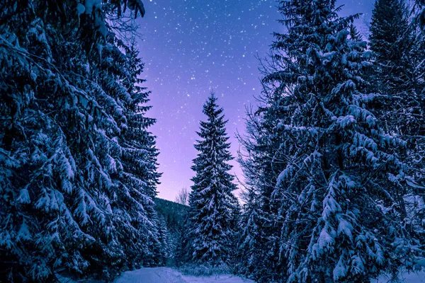 4月17日是什么星座 4月17日出生是什么星座