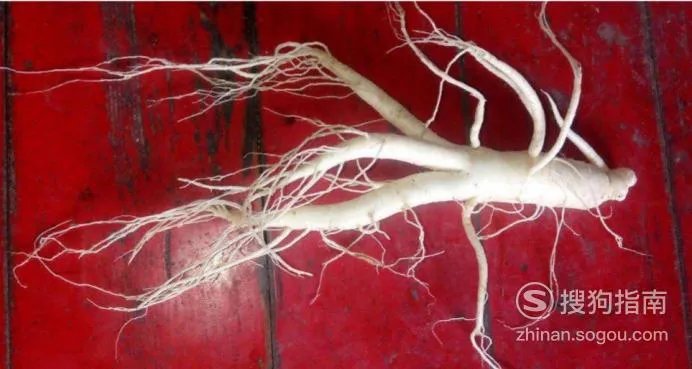 黑龙江旅游攻略