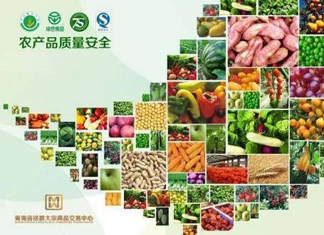 中国农产品交易网的运营模式