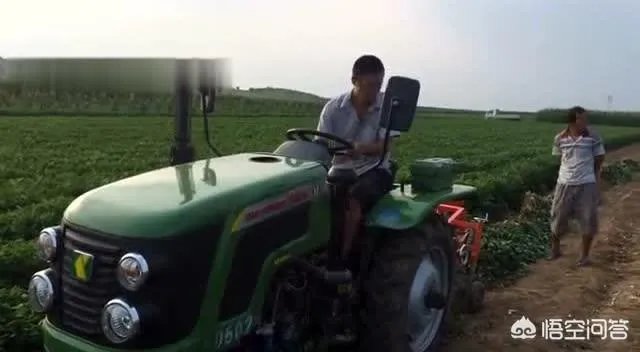 两亩花生地用收割机来收，120元/亩大家说划算吗？