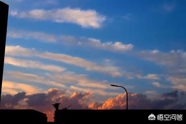 网红为什么都开传媒公司