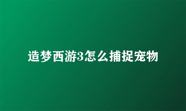 造梦西游3怎么捕捉宠物