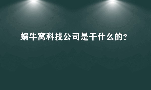 蜗牛窝科技公司是干什么的？