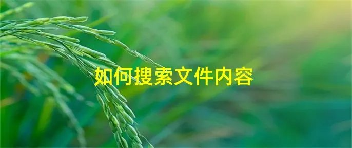 如何搜索文件内容