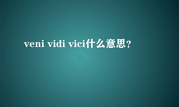 veni vidi vici什么意思？