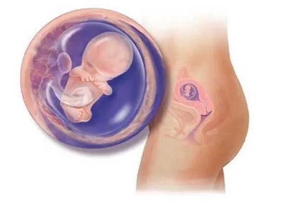 刚刚做完人流要注意什么？不能吃什么？