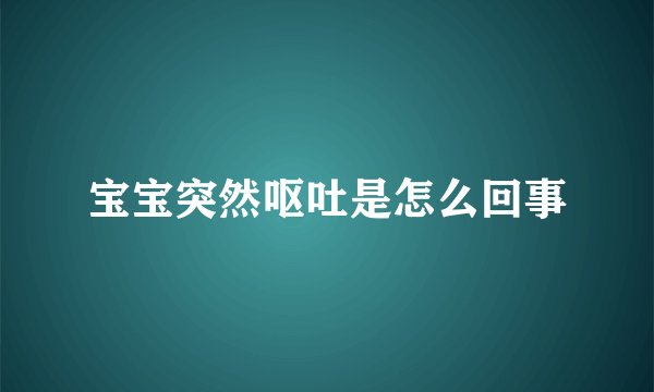 宝宝突然呕吐是怎么回事