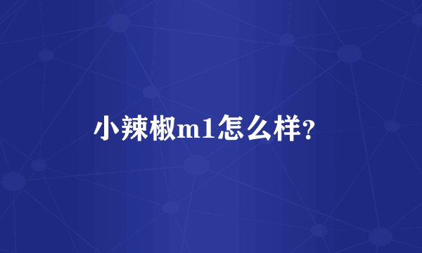 小辣椒m1怎么样？