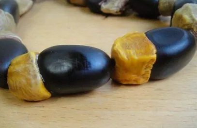 菩提子有哪些种类？菩提子种类大全图片介绍！