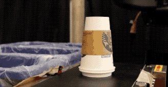 垃圾箱和AI联合到一起,你们觉得可以怎么样?