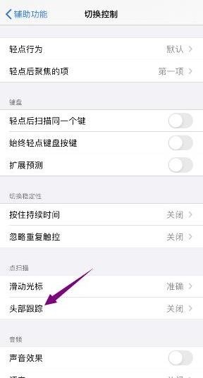 苹果头部跟踪功能怎么用