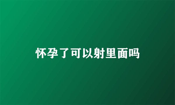 怀孕了可以射里面吗