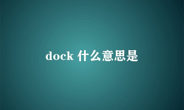dock 什么意思是